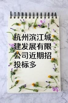 杭州滨江城建发展有限公司
