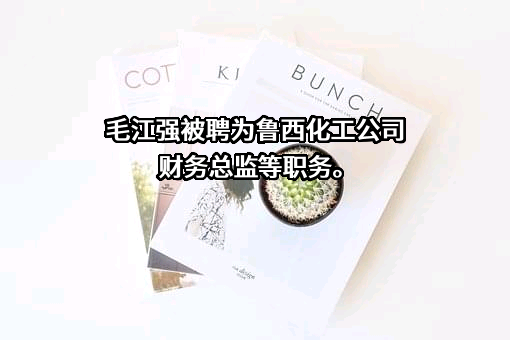鲁西化工集团股份有限公司