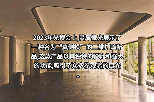北京灵犀微光科技有限公司