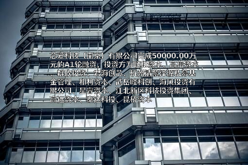 芯爱科技（南京）有限公司
