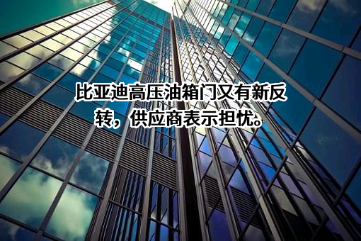 比亚迪股份有限公司