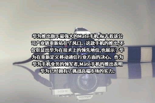 华为技术有限公司
