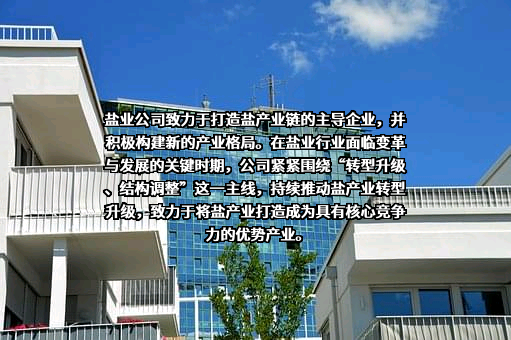 湖南雪天盐业技术开发有限公司