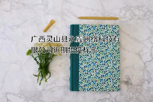 广西灵山县永鑫网络科技有限公司