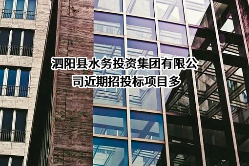 泗阳县水务投资集团有限公司