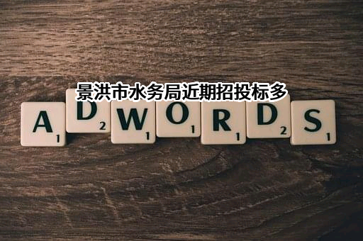 景洪市水务局