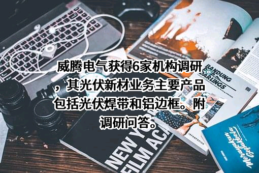 威腾电气集团股份有限公司