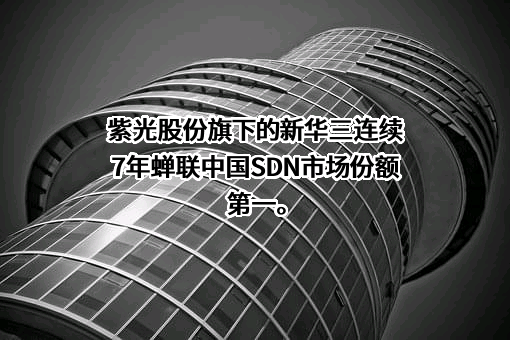 紫光股份有限公司
