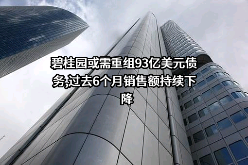 碧桂园控股有限公司