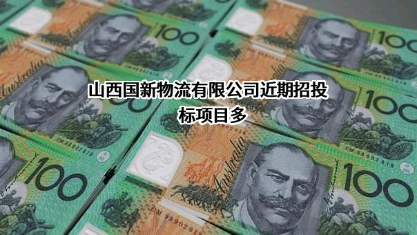 山西国新物流有限公司
