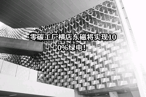 横店集团东磁股份有限公司