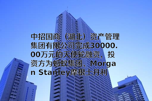 中招国商（湖北）资产管理集团有限公司
