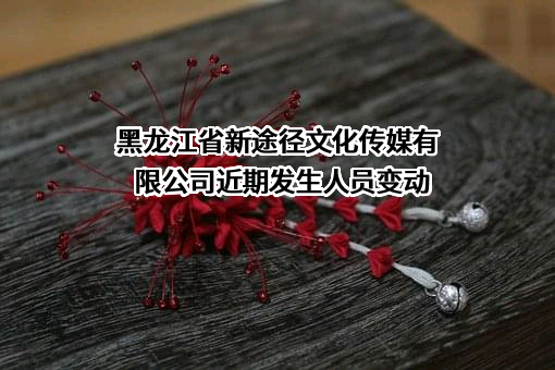 黑龙江省新途径文化传媒有限公司