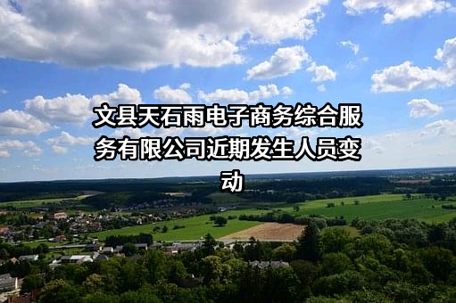 文县天石雨电子商务综合服务有限公司