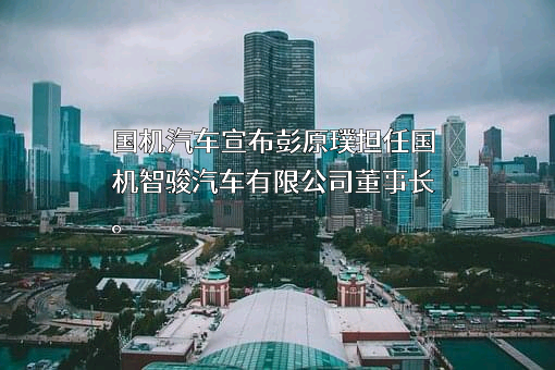 国机智骏汽车有限公司