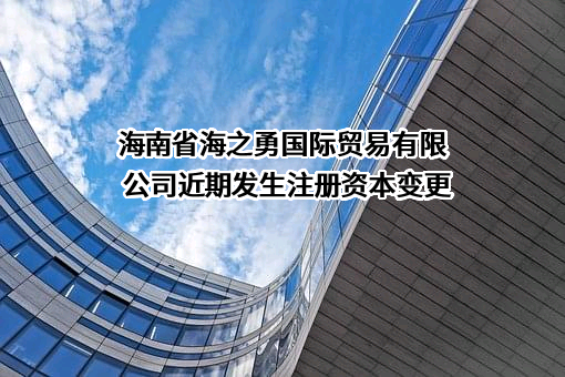 海南省海之勇国际贸易有限公司