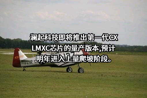 澜起科技股份有限公司
