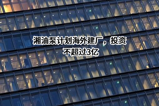 湖南美湖智造股份有限公司