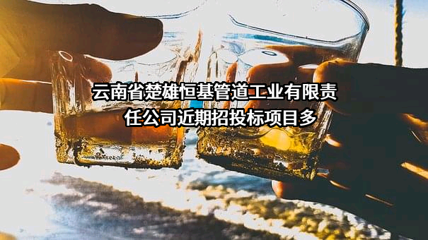 云南省楚雄恒基管道工业有限责任公司