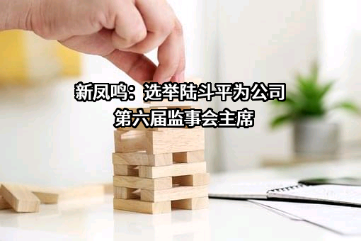 新凤鸣集团股份有限公司