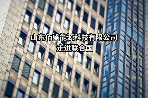 山东佰盛能源科技有限公司