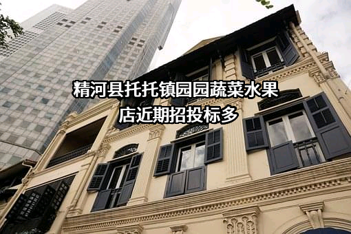 精河县托托镇园园蔬菜水果店