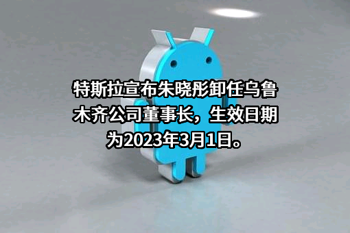 特斯拉汽车销售服务（乌鲁木齐）有限公司