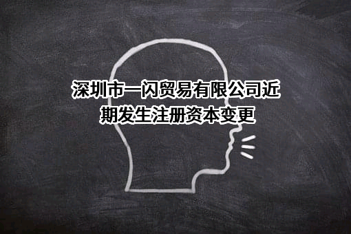 深圳市一闪贸易有限公司