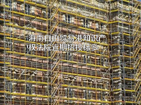 海南自由贸易港知识产权法院