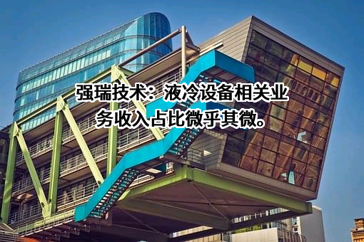 深圳市强瑞精密技术股份有限公司