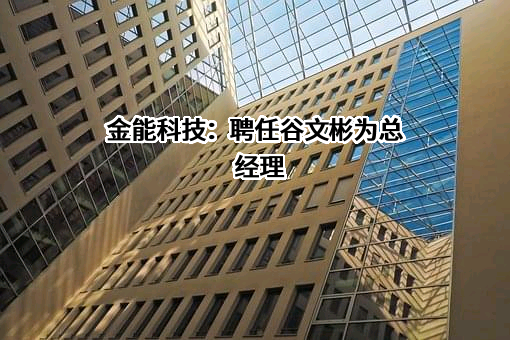 金能科技股份有限公司