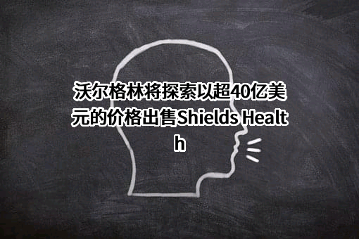 深圳前海沃尔格林互联网金融服务有限公司