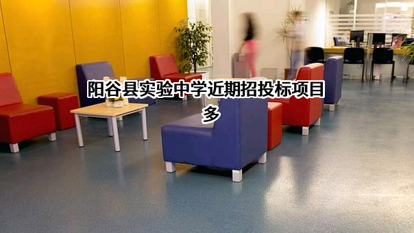 阳谷县实验中学