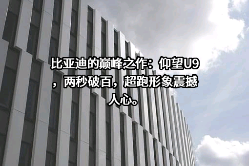 比亚迪股份有限公司