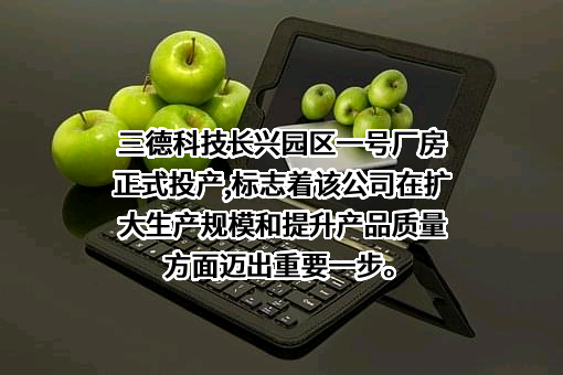 湖南三德科技股份有限公司