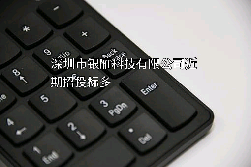 深圳市银雁科技有限公司