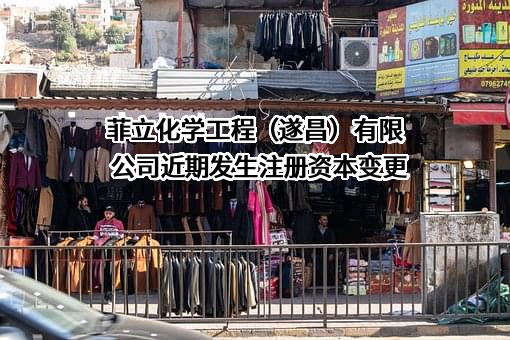 菲立化学工程（遂昌）有限公司