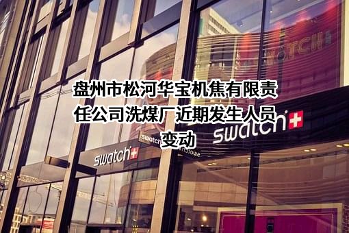 盘州市松河华宝机焦有限责任公司洗煤厂