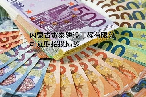 内蒙古寅泰建设工程有限公司