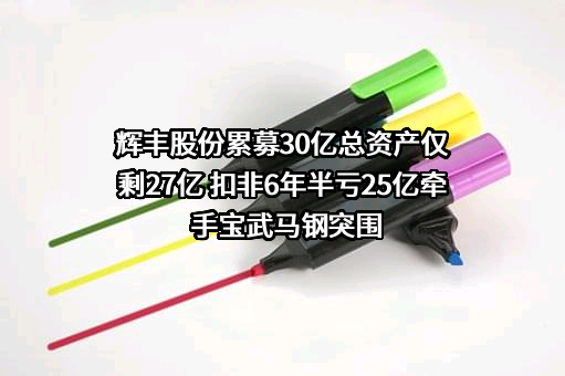 辉丰股份累募30亿总资产仅剩27亿 扣非6年半亏25亿牵手宝武马钢突围