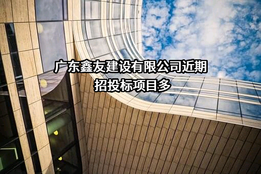 广东鑫友建设有限公司近期招投标项目多