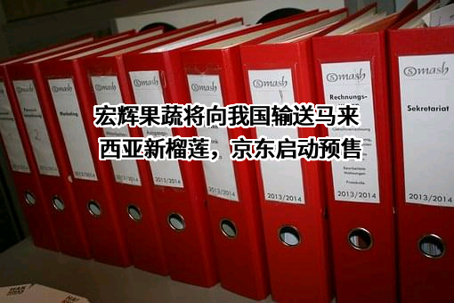 宏辉果蔬将向我国输送马来西亚新榴莲，京东启动预售
