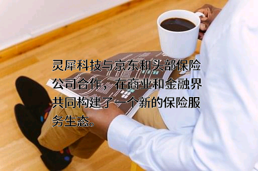 灵犀科技有限公司