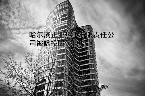 哈尔滨正业热电有限责任公司