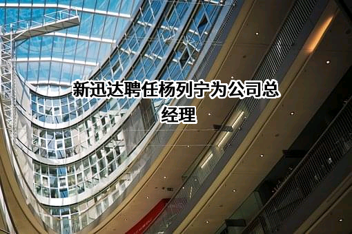 福建省新迅达电梯有限公司