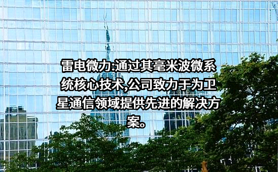 成都雷电微力科技股份有限公司