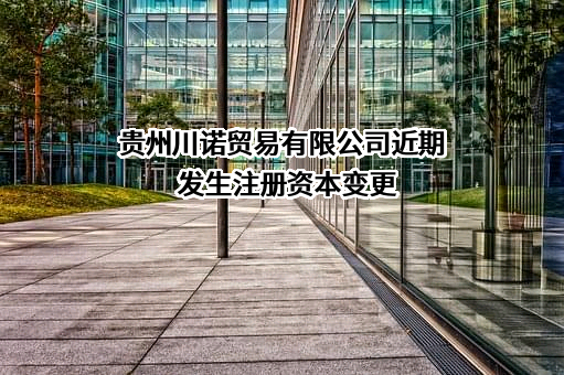 贵州川诺贸易有限公司