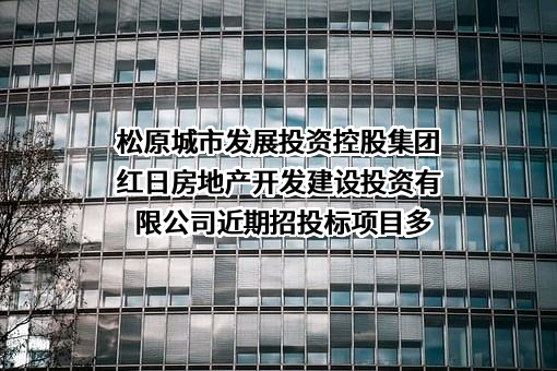 松原城市发展投资控股集团红日房地产开发建设投资有限公司