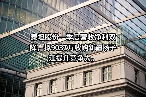 浙江泰坦股份有限公司
