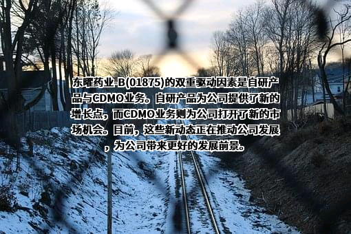 东曜药业有限公司
